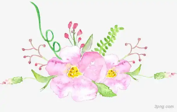 手绘清新花草花卉插画