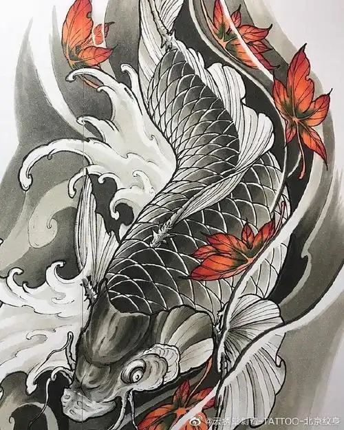 鲤鱼纹身手稿#传统纹身##锦鲤##锦鲤纹身##鲤鱼纹身#北京·优士阁大厦