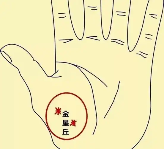 金星丘位置米字纹无名指位置无名指下方位置出现米字纹,从小生活比较