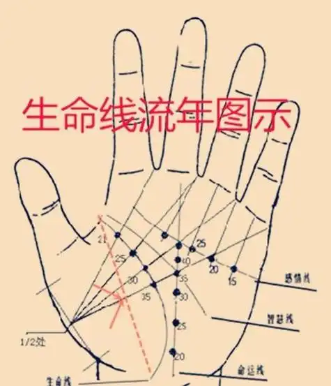 手掌算命,通过生命线看健康和寿命
