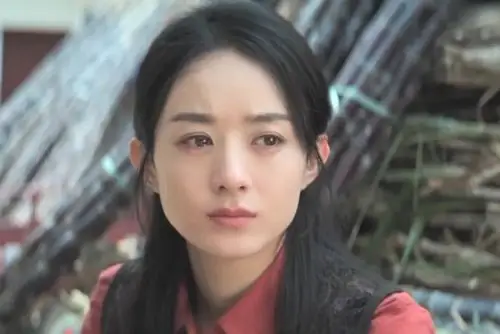 不适合现代剧赵丽颖出演理想照耀中国用实力打脸质疑者