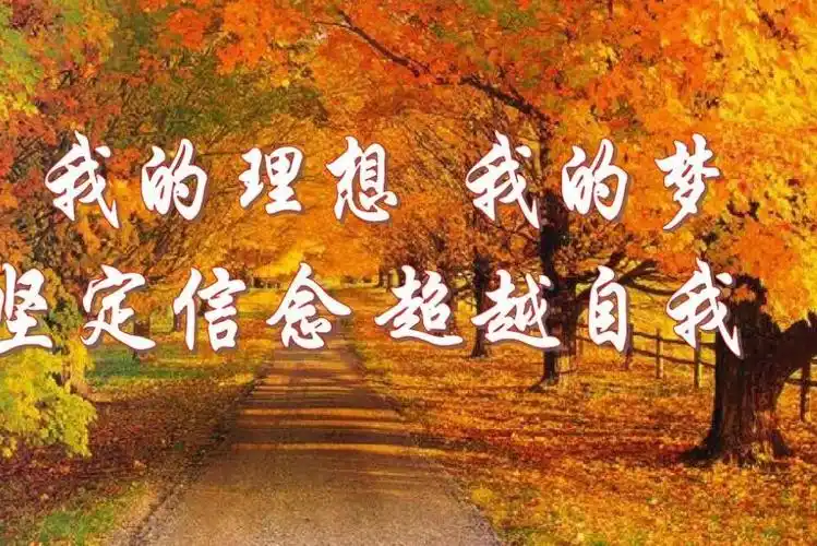 我的理想作文300字的怎么写