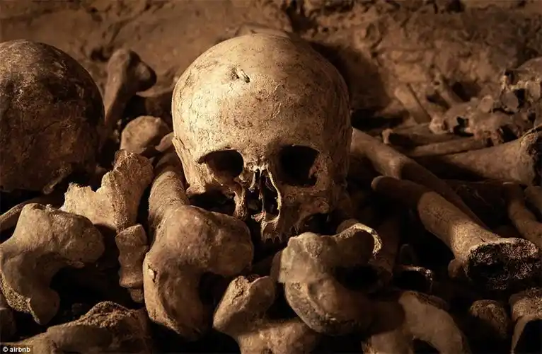 全球最恐怖卧室内藏600万骷髅骨骼高清组图