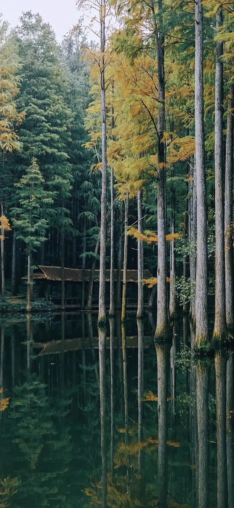 波尔登森林公园