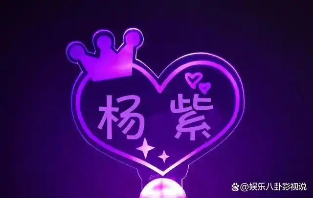 杨紫的应援色是紫色,这种颜色是由红色和蓝色叠加而成,是杨紫很喜欢的