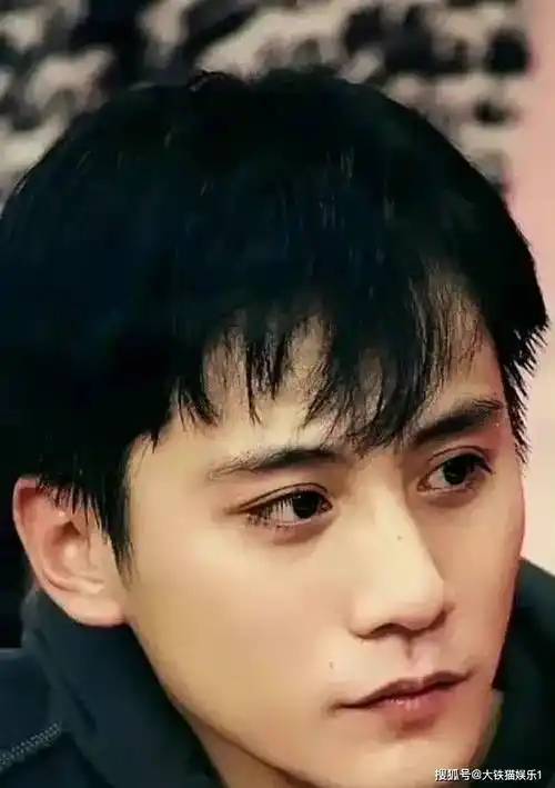 中戏十大最帅校草:个个浓眉大眼,气质阳刚,谁说中戏不看颜值的_李亚鹏