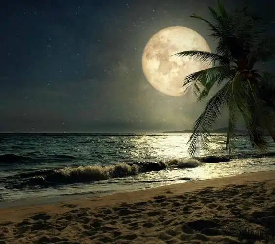 夜色中,沙滩海水闪着朦胧的白光