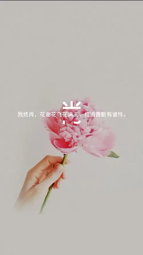 原创 姓氏壁纸 肖 这几天收集量少的可怜 大家是不是不喜欢坨坨做的