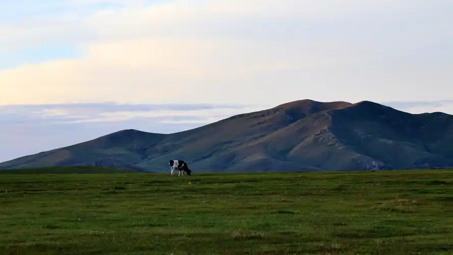 海拉尔—北方的北方