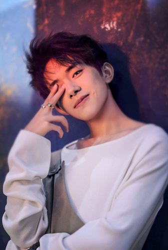 木质拼图300/500/1000片成年人减压解闷难度治愈木制拼块易烊千玺