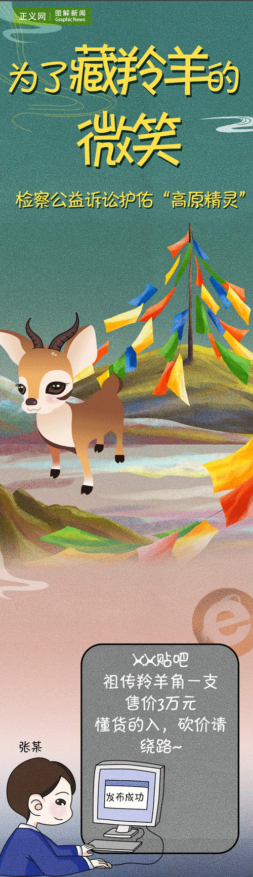 为了藏羚羊的微笑