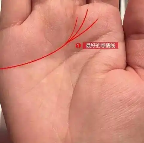 我继续说道:"最好的感情线就是长且无杂纹,末端奔向食指分三叉,清朗