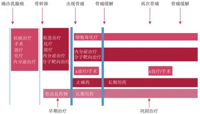 伊班膦酸钠注射液(艾默坤)丨从csco指南看乳腺癌骨转移治疗