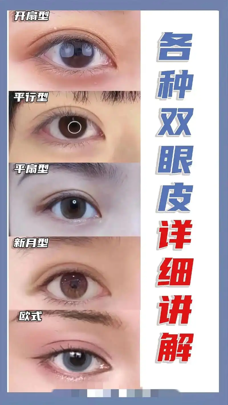 眼睛短而大者. 双眼皮跟上眼睑脸缘基本平 部的这个位置呢稍微 - 抖音