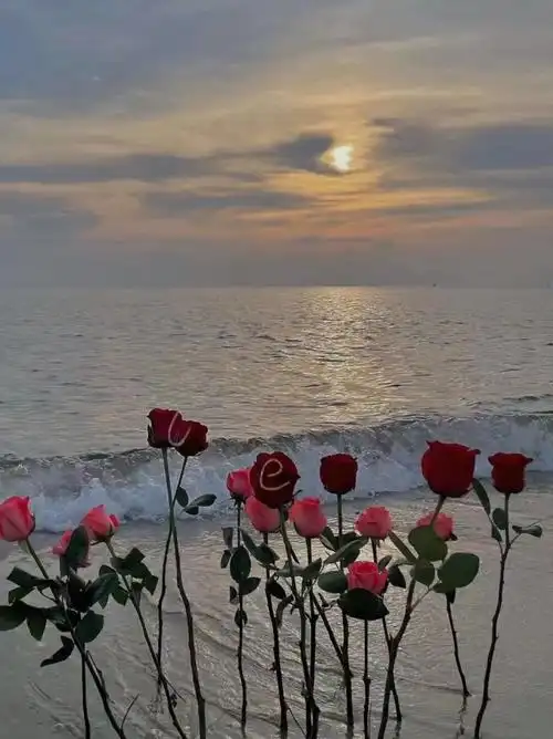 ins风鲜花背景图 壁纸-各种素材大全(已完结)-话本小说网