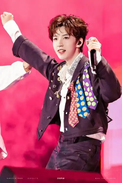 贺峻霖理想之途演唱会