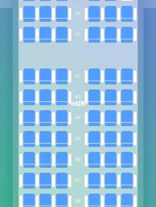 求助厦门航空波音737800