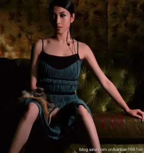 内陆女星亦是如此,罗海琼和车晓两位华谊女星,前后脚赶的在旧历春节前