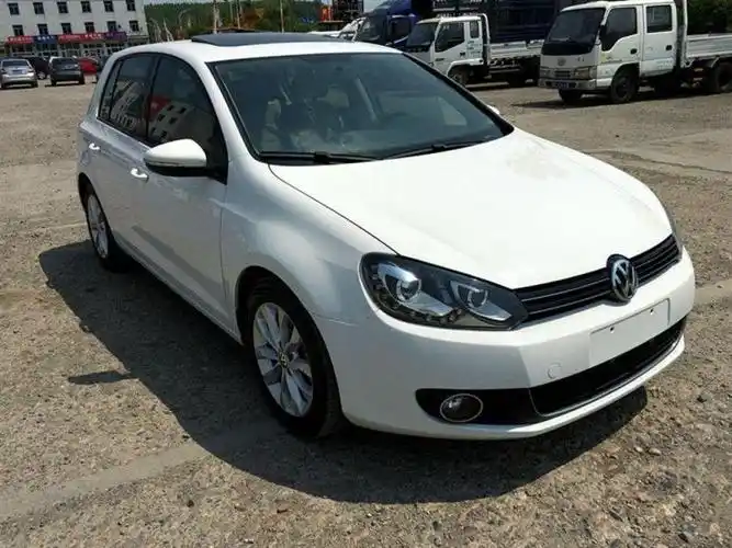 【通化】2010年1月 大众 高尔夫 高尔夫 2010款 1.