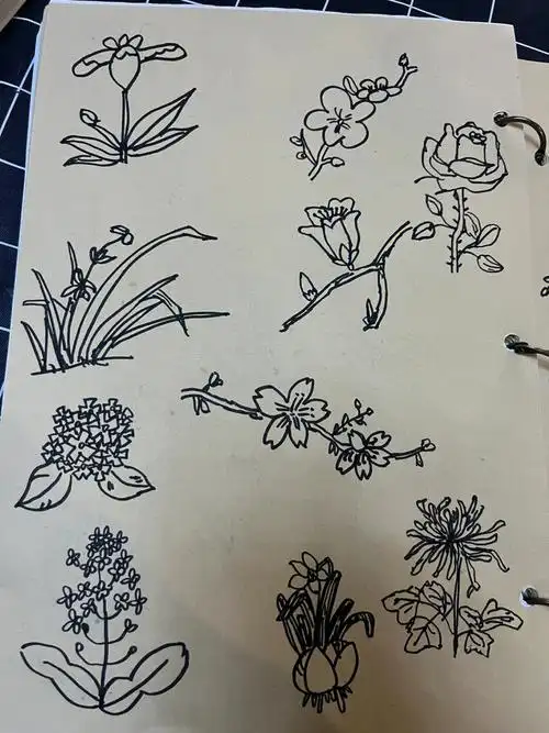 简笔画各种花卉花草简笔画