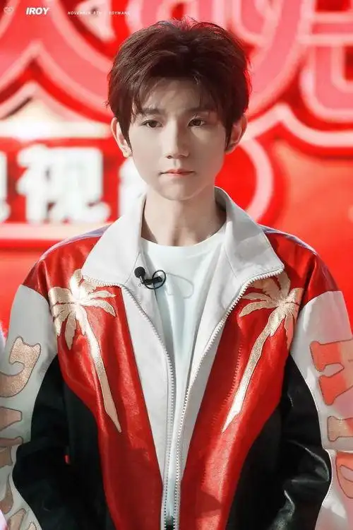 王源手机壁纸大全最帅 - 搜狗图片搜索