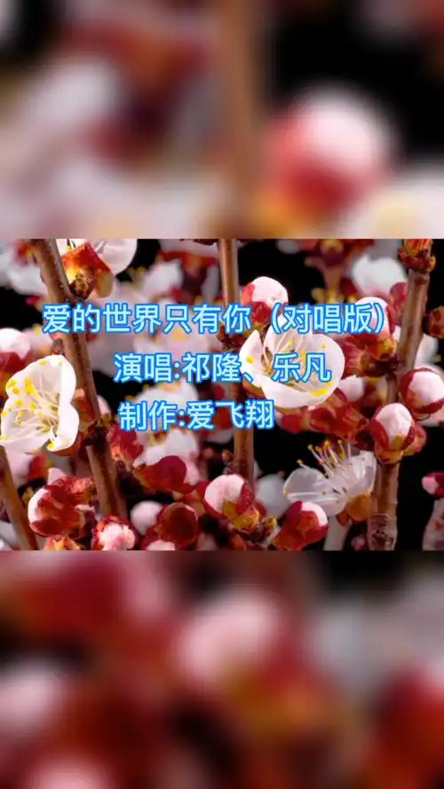 祁隆,乐凡一首《爱的世界只有你(对唱版)》经典老歌,好听极了