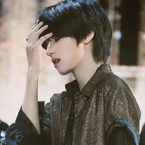 朱志鑫头像-良品杂货铺-话本小说网