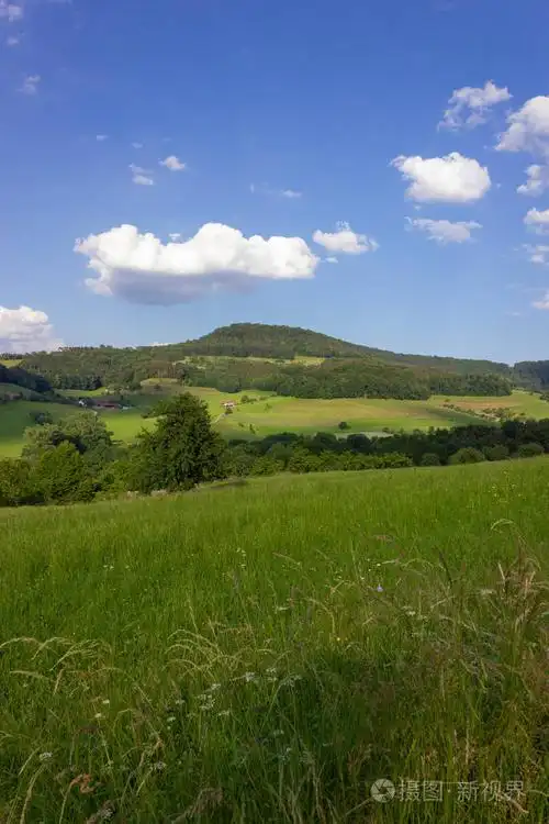 在德国南部的乡村乡村, 风景春天的绿色田野, 蓝天白云