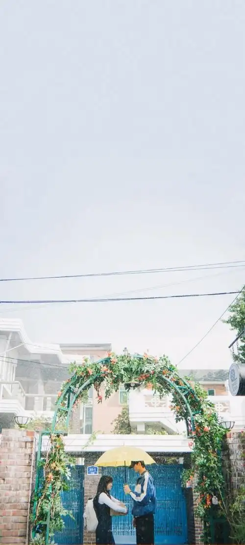 壁纸 桌面 690_1533 竖版 竖屏 手机