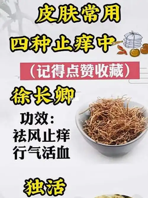 皮肤科常用的四种止痒中药