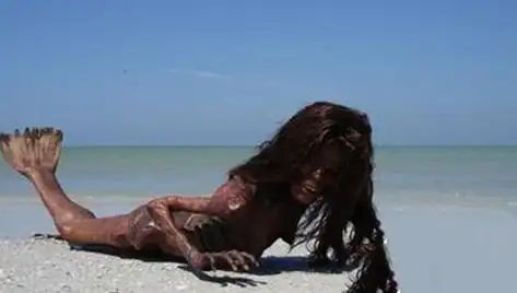 它在我们现实世界中真的存在,研究者认为,美人鱼是在古猿进化为人类的