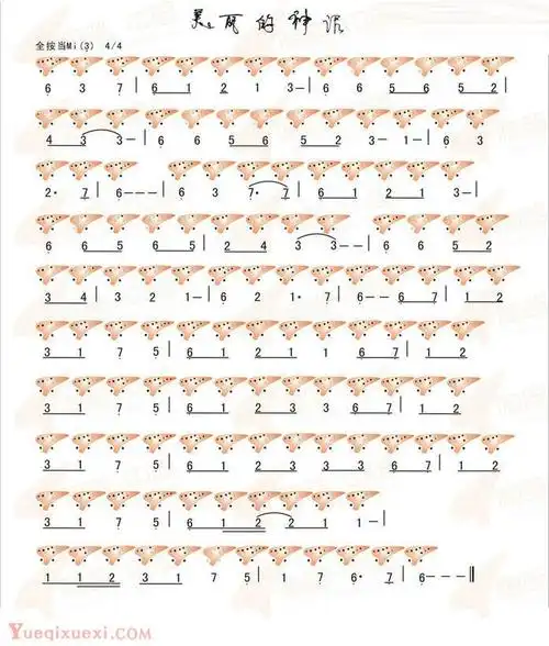 陶笛美丽的神话12孔指谱