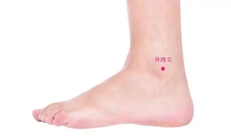 所属经络    经外穴     2. 位置        在足外侧面,外踝凸起处.