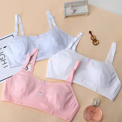 中学生文胸内衣少女发育期无钢圈海绵甜美透气少女文胸