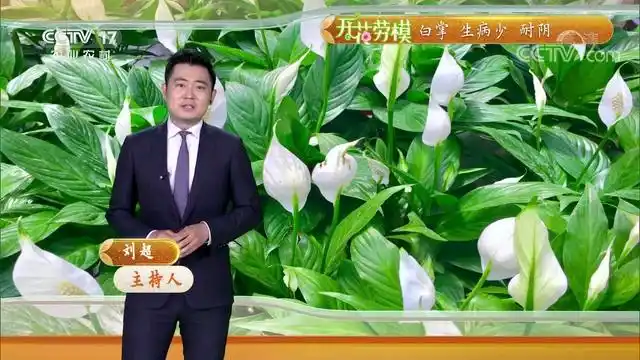 【青年节】2022年5月4日农业气象天气预报_哔哩哔哩_bilibili