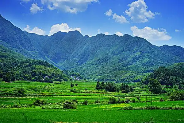 大山里图片_图片大全