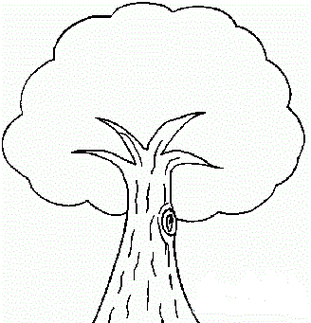 一棵大树简笔画 一棵大树简笔画彩色