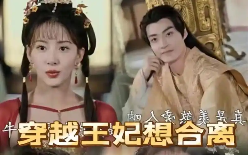 穿越王妃想和离 高清全集观看