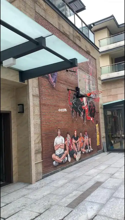 别墅花园院子一个自己的篮球场是什么体验