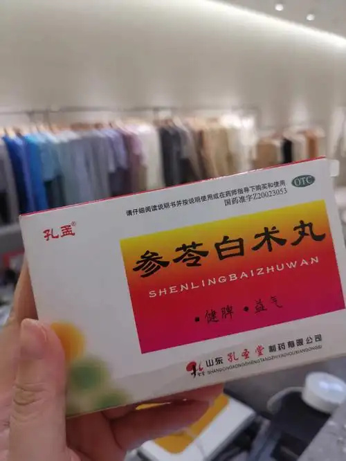 健脾祛湿参苓白术丸