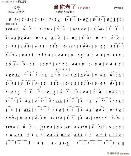 当你老了萨克斯