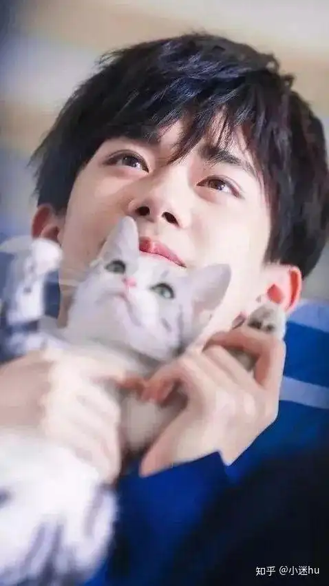 有没有人有易烊千玺抱着猫仰视的高清图片!急需!一定是高清谢谢?