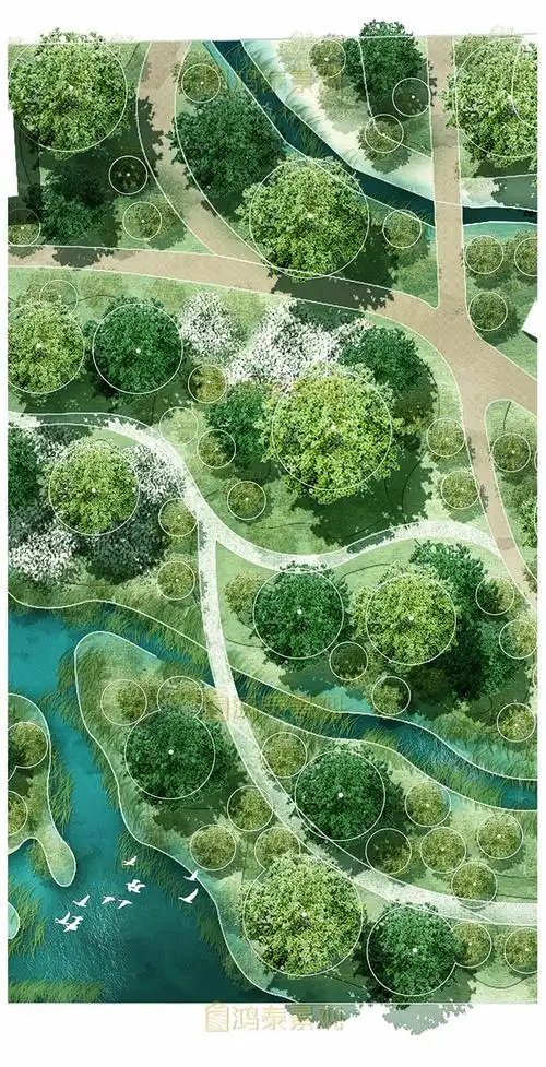 原创竞赛风湿地公园景观彩平psd素材小清新公园景观设计psd总平ps-淘