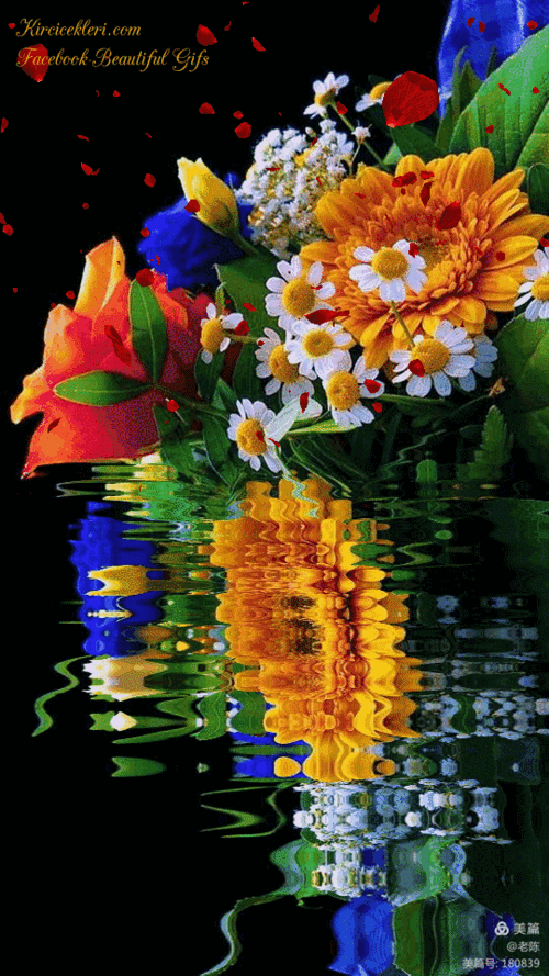 540_960竖版 竖屏gif 动态图 动图