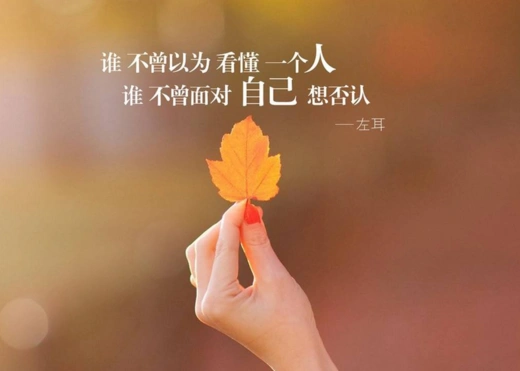 说说心情短语人生感悟精选2021 不要给自己留下了