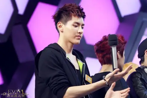 kris - 熊小小采集到exo - 花瓣