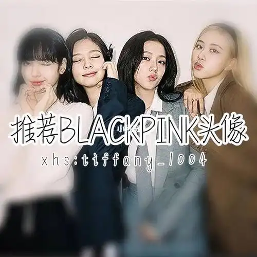 推荐blackpink头像