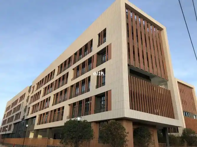 清华附中小学二部