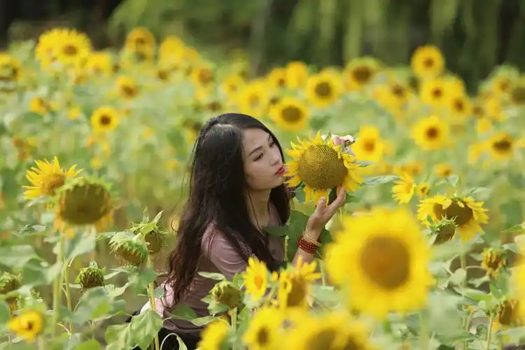 微笑拥抱每一天,做像向日葵般温暖的女子.