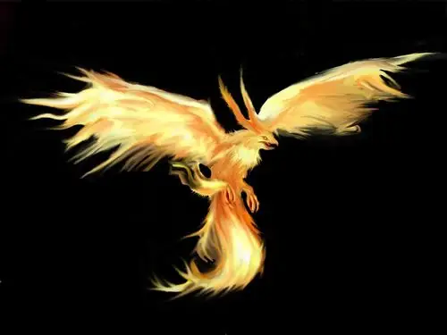 火鸟壁纸高清原图查看